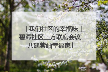 我们社区的幸福味｜碧潭社区三方联席会议共建紫岫幸福家