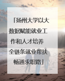 扬州大学以大数据赋能就业工作和人才培养 全链条就业帮扶畅通求职路