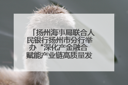 扬州海事局联合人民银行扬州市分行举办“深化产金融合 赋能产业链高质量发展”共建联学活动