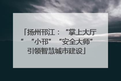 扬州邗江：“掌上大厅”“小邗”“安全大师”引领智慧城市建设