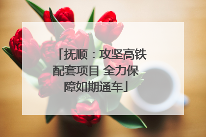 抚顺：攻坚高铁配套项目 全力保障如期通车