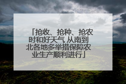 抢收、抢种、抢农时和好天气 从南到北各地多举措保障农业生产顺利进行
