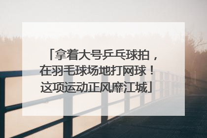 拿着大号乒乓球拍，在羽毛球场地打网球！这项运动正风靡江城