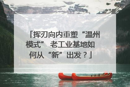 挥刃向内重塑“温州模式” 老工业基地如何从“新”出发？