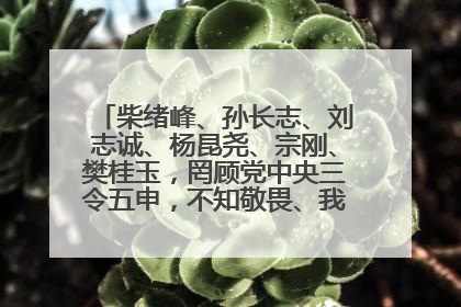 柴绪峰、孙长志、刘志诚、杨昆尧、宗刚、樊桂玉，罔顾党中央三令五申，不知敬畏、我行我素、肆意妄为！