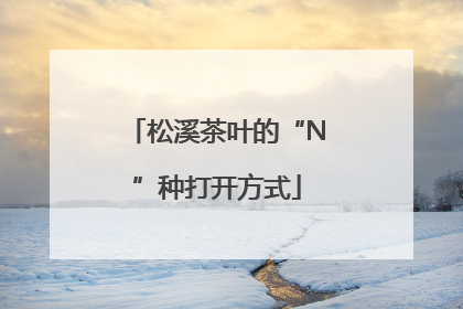 松溪茶叶的“N”种打开方式