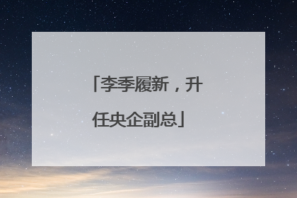 李季履新，升任央企副总