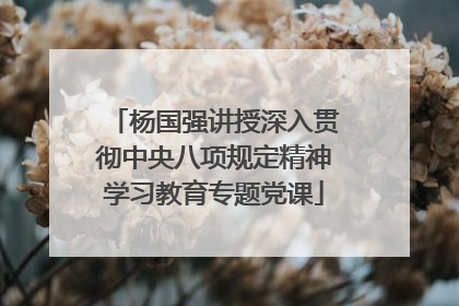 杨国强讲授深入贯彻中央八项规定精神学习教育专题党课