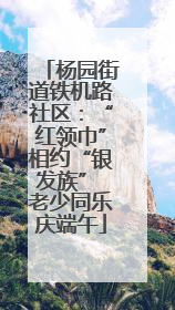 杨园街道铁机路社区：“红领巾”相约“银发族” 老少同乐庆端午