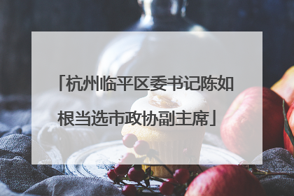 杭州临平区委书记陈如根当选市政协副主席