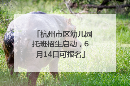 杭州市区幼儿园托班招生启动，6月14日可报名