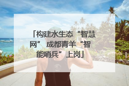 构建水生态“智慧网” 成都青羊“智能哨兵”上岗
