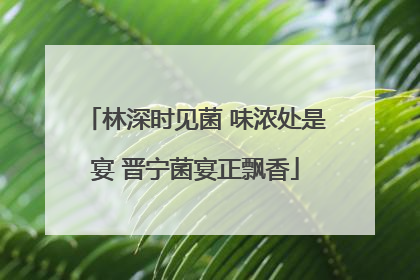 林深时见菌 味浓处是宴 晋宁菌宴正飘香