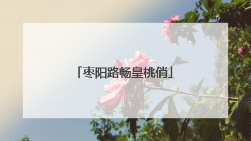 枣阳路畅皇桃俏