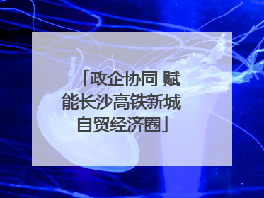 政企协同 赋能长沙高铁新城自贸经济圈