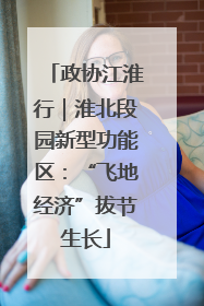 政协江淮行｜淮北段园新型功能区：“飞地经济”拔节生长