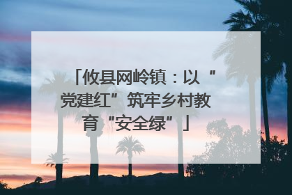 攸县网岭镇：以“党建红”筑牢乡村教育“安全绿”