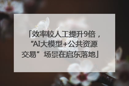 效率较人工提升9倍，“AI大模型+公共资源交易”场景在启东落地