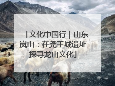 文化中国行｜山东岚山：在尧王城遗址探寻龙山文化