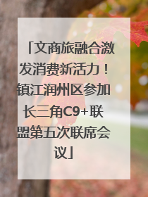 文商旅融合激发消费新活力！镇江润州区参加长三角C9+联盟第五次联席会议