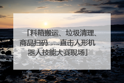 料箱搬运、垃圾清理、商品扫码……直击人形机器人技能大赛现场