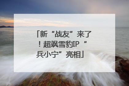 新“战友”来了！超飒雪豹IP“兵小宁”亮相
