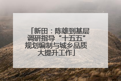 新田：陈雄到基层调研指导“十五五”规划编制与城乡品质大提升工作