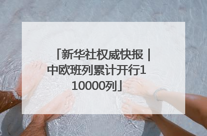 新华社权威快报｜中欧班列累计开行110000列