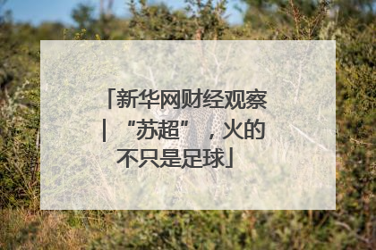 新华网财经观察｜“苏超”，火的不只是足球