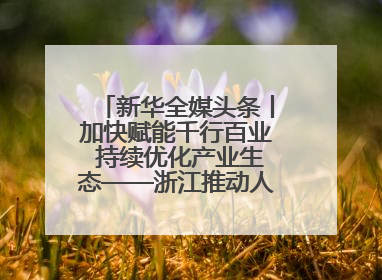 新华全媒头条丨加快赋能千行百业 持续优化产业生态——浙江推动人工智能健康有序发展观察