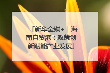 新华全媒+｜海南自贸港：政策创新赋能产业发展