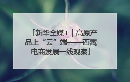 新华全媒+｜高原产品上“云”端——西藏电商发展一线观察