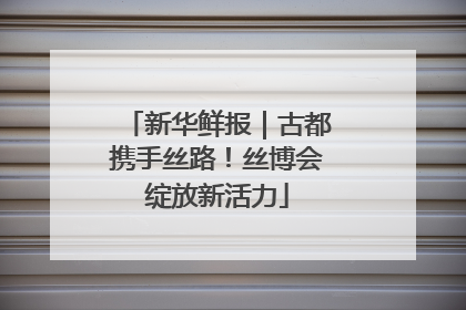 新华鲜报｜古都携手丝路！丝博会绽放新活力