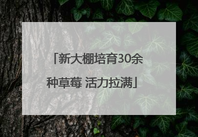 新大棚培育30余种草莓 活力拉满