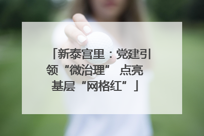 新泰宫里：党建引领“微治理” 点亮基层“网格红”