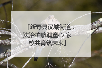 新野县汉城街道：法治护航润童心 家校共育筑未来