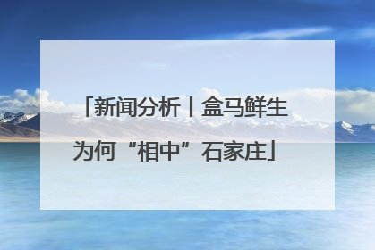 新闻分析丨盒马鲜生为何“相中”石家庄