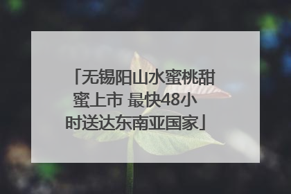 无锡阳山水蜜桃甜蜜上市 最快48小时送达东南亚国家