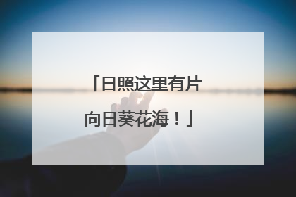 日照这里有片向日葵花海！
