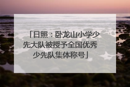 日照：卧龙山小学少先大队被授予全国优秀少先队集体称号