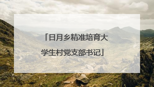 日月乡精准培育大学生村党支部书记
