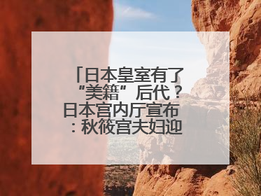 日本皇室有了“美籍”后代？日本宫内厅宣布：秋筱宫夫妇迎来首个孙辈