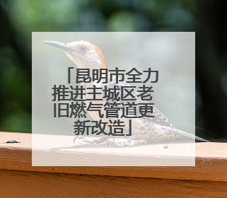 昆明市全力推进主城区老旧燃气管道更新改造