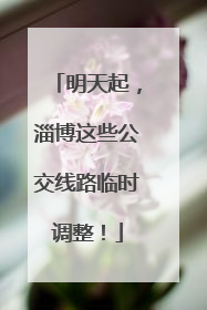 明天起，淄博这些公交线路临时调整！