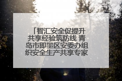 智汇安全促提升 共享经验筑防线 青岛市即墨区安委办组织安全生产共享专家现场观摩学习活动