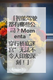 智能驾驶都有哪些公司？Momenta“穿行桥底迷宫”无法不令人印象深刻！