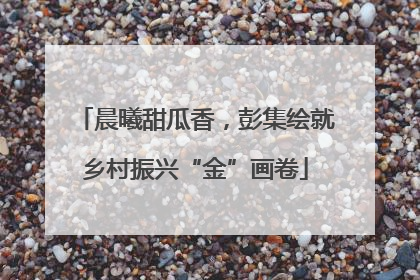 晨曦甜瓜香，彭集绘就乡村振兴“金”画卷