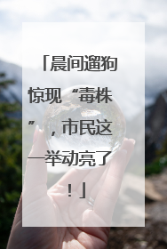 晨间遛狗惊现“毒株”，市民这一举动亮了！