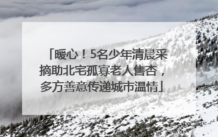 暖心！5名少年清晨采摘助北宅孤寡老人售杏，多方善意传递城市温情
