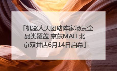 机器人天团助阵家场景全品类覆盖 京东MALL北京双井店6月14日启幕